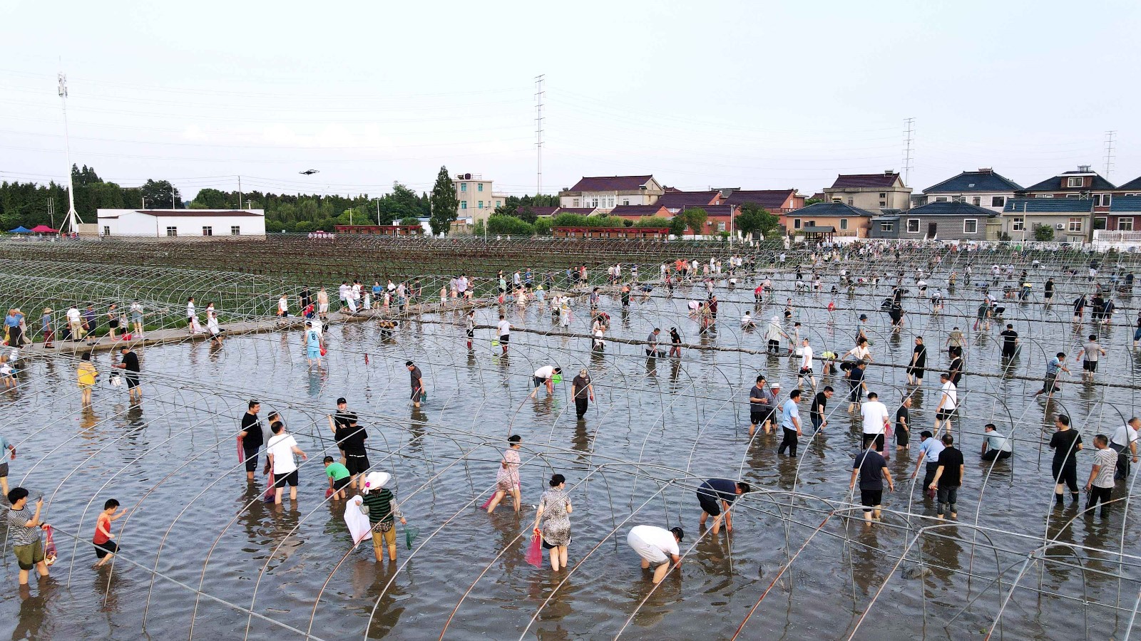 永胜村与农业农村局结对，开展红菱文化体验节1.jpg